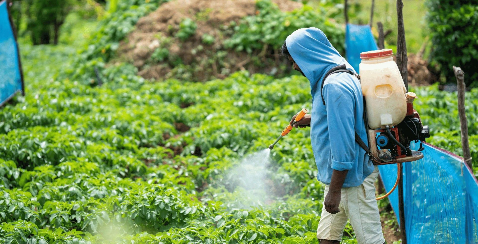 Overview of Agrochemicals Registration in EU UK Turkey and India